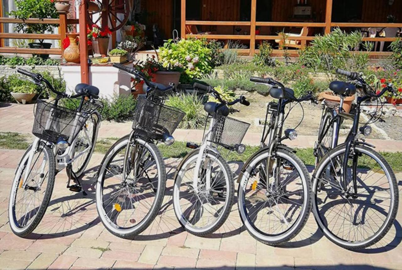 Gemenc Vendégház Hercegszanto Exterior foto